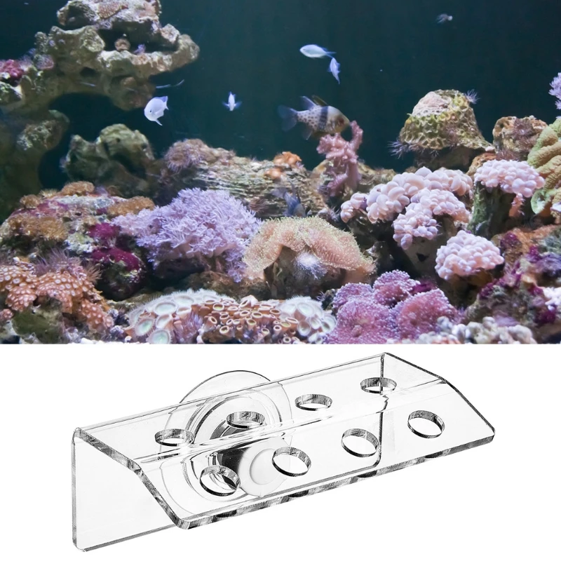 581C Coral Frag-Часова Смукателна Акрилна Coral Frag Здрав Притежателя Побира 8 Штекеров Изображение 2